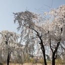 반월놀이공원 이미지