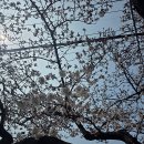 낙동강변로3-3 이미지