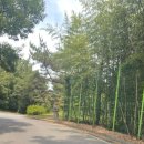 비호농장 이미지