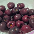 임당성당 | 임신 24주 입체초음파 비용 | 임당검사 시기 수치 금식 시약 공복