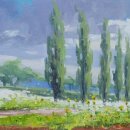 미루나무풍경 이미지