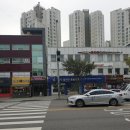 밀리언동물병원 | 밀리언동물병원