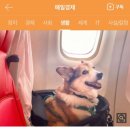 케이지모빌리티 양재서비스프라자 | 후쿠오카 에어버기와 에어랩 쇼핑 후 10년 쓴 에어버기 타이어 교체하기