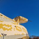 양서·파충류생태공원 2층 | 함평양서파충류생태공원방문후기