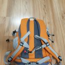 뉴 비너스 이미지