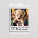 현산면사무소 이미지