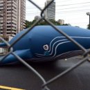 South Korea&#39;s whaling: Faux and cons 이미지