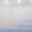 용인대 태권도 혁신 정도장 이미지