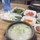 맛있으면돼지 | 진해 맛집 I 현지인이 강추한 찐 맛집 맛있으면 돼지 국밥 후기