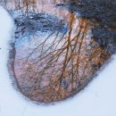 나무오리어린이집 이미지