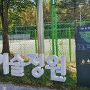 금산군 이슬공원 족구장 | 금산 공원 이슬공원에 채채자매가 떴어요~