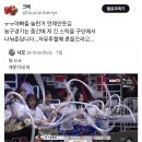 아 농놀 함 해보고 싶어짐ㅠ 이미지