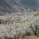 하대동411 이미지