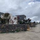 산방산탑부동산공인중개사사무소 이미지