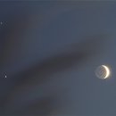 금성 네이버블로그