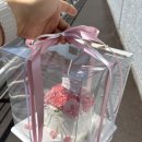 오마이럽데이