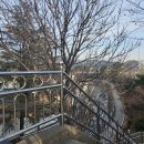 중앙대로-2 이미지