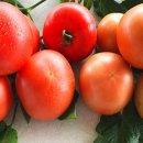 인솔농장 이미지