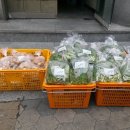 쌈채우리 이미지