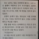 [독서후기]마당이 있는 집 원작 소설. 줄거리 및 결말