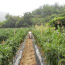 산골흙집 이미지