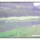 황강은빛백사장길 이미지