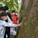 공원복권 이미지