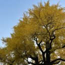 분오국수 이미지