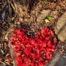 소답동121 이미지