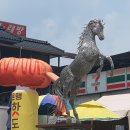 여강길(3코스 바위늪구비길) Daum카페