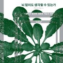 지금은 K-OTT 시대 이미지