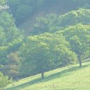 원동목장 이미지