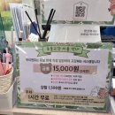 마리앤쥬 | 서면 동물교감카페 마리앤쥬 다녀온 후기