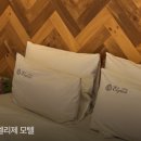 논산시종합사회복지관 이미지