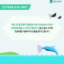 코뿔소보청기 네이버블로그