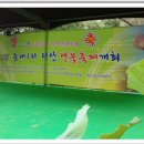 능내1리 이미지