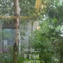 카페1730