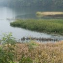 이박삼일 이미지