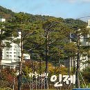 양구군농업협동조합 하나로마트사업소 동면점 | 인제 양구 1박2일 여행(별들의 기침 후기, 박수근미술관, 춘천명종닭갈비비추 후기)