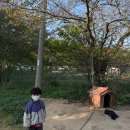 청하수퍼 | 실미도 유원지 맛집 송림정｜아이랑 캠핑하고 먹은 삼겹살 후기 (메뉴, 가격 총정리)