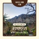 온리 | 제주 산방산 카페 원앤온리 후기｜사진 찍기 좋은 오션뷰 감성 카페
