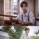 다시 봄 이미지