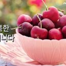 참행복한