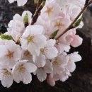 청룡저수지 이미지