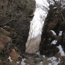 산장농원