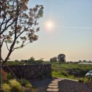 제주머물다 이미지