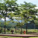 수목화 송정마을 오토캠핑장 이미지