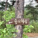 숲의하루 이미지