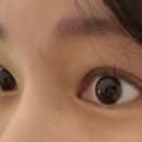 사르르래쉬
