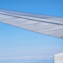 밀레니엄슈퍼 | 도쿄 1일차 - 여행의 시작, 김포-하네다 대한항공, 밀레니엄 미쓰이 가든 호텔 도쿄 체크인.